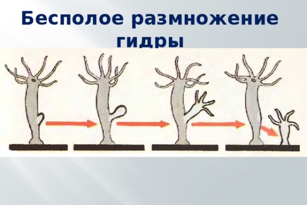 Почему в кракене пользователь не найден